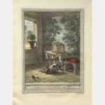 Le Chat et les deux moineaux.