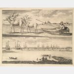 Samoiedes sleigh. Workcamps outside Archangel.