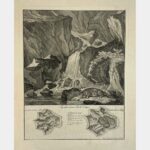 Loutre. "Spuhr einer Fisch-Otter"