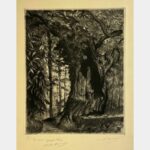 The hollow chestnut tree