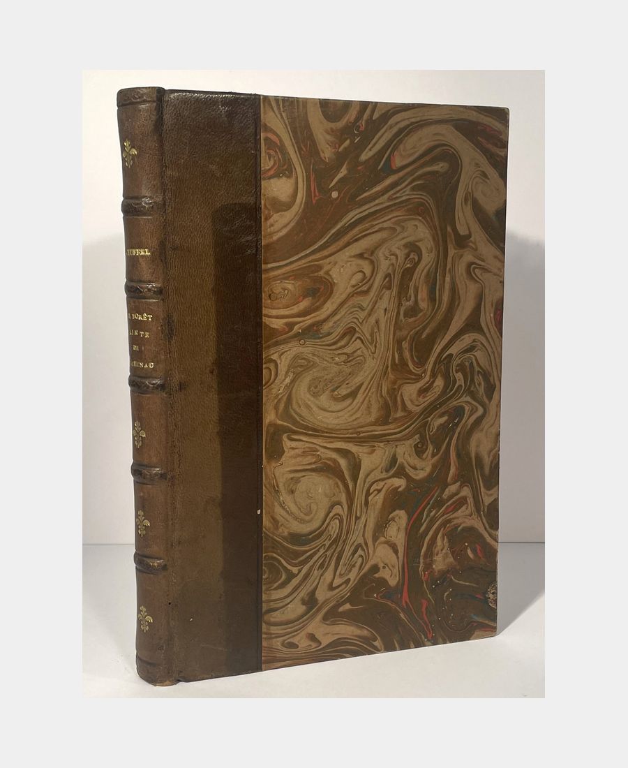 The Holy Forest of Haguenau in Alsace. Historical and descriptive note. The Holy Forest of Haguenau in Alsace. Historical and descriptive note. - Image 1