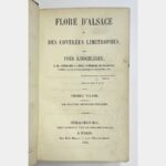 Flora of Alsace and neighbouring regions.